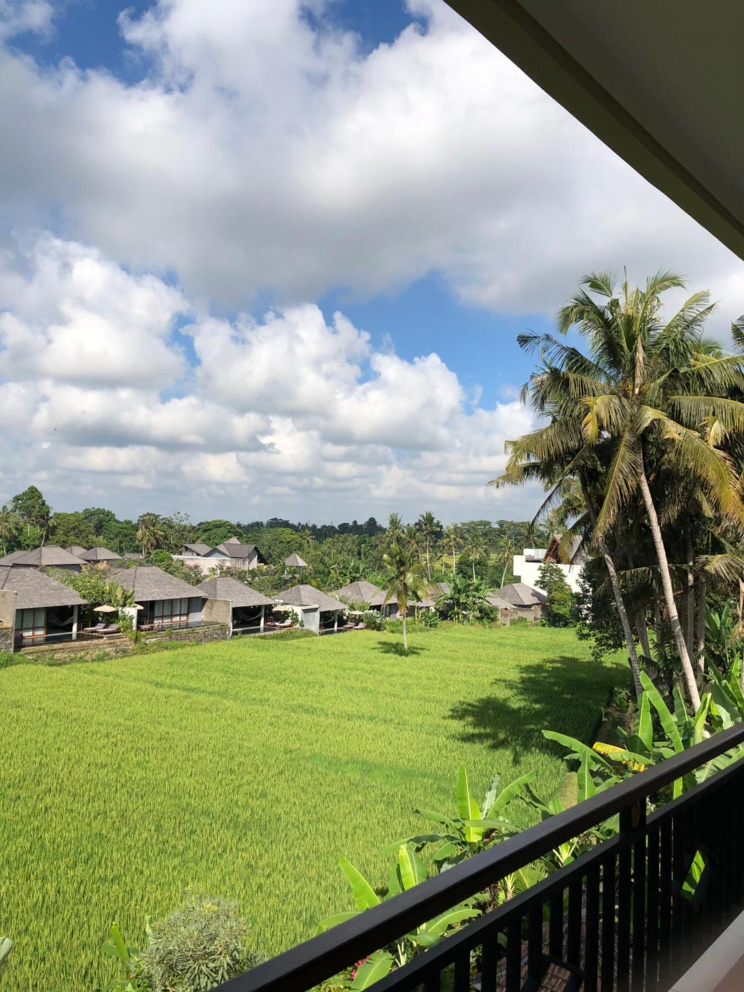 Mira Family Cottages Ubud  Luaran gambar